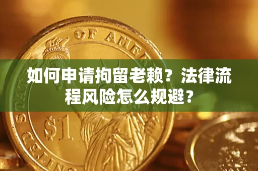 武汉如何申请拘留老赖？法律流程风险怎么规避？