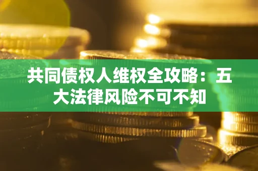 武汉共同债权人维权全攻略：五大法律风险不可不知