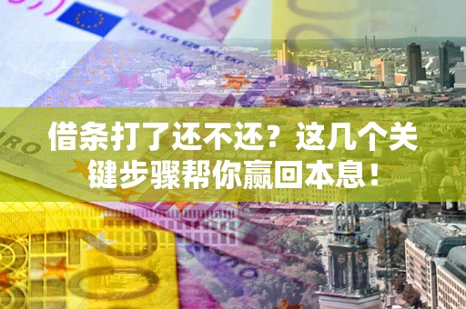 武汉借条打了还不还？这几个关键步骤帮你赢回本息！