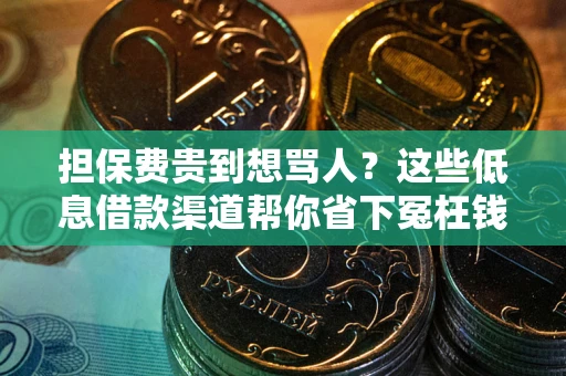 武汉担保费贵到想骂人？这些低息借款渠道帮你省下冤枉钱