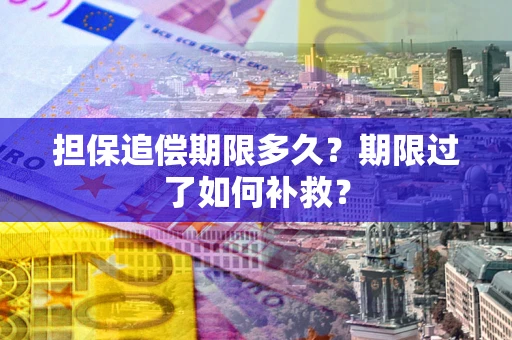 武汉担保追偿期限多久？期限过了如何补救？