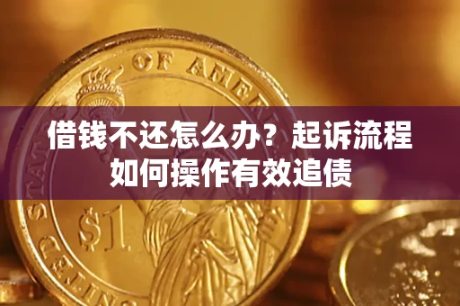 武汉借钱不还怎么办？起诉流程如何操作有效追债