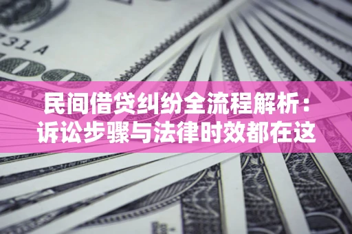 武汉民间借贷纠纷全流程解析：诉讼步骤与法律时效都在这儿了