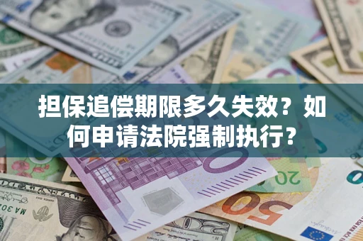 武汉担保追偿期限多久失效？如何申请法院强制执行？