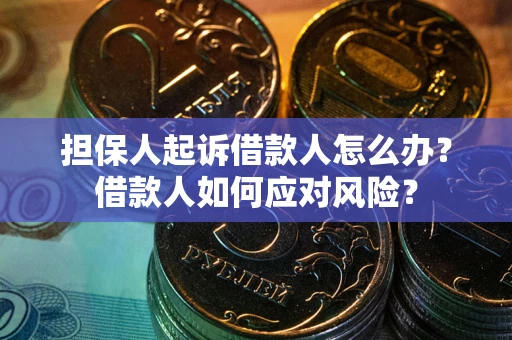 武汉担保人起诉借款人怎么办？借款人如何应对风险？
