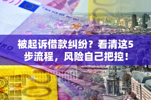武汉被起诉借款纠纷？看清这5步流程，风险自己把控！