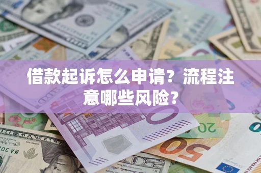 武汉借款起诉怎么申请？流程注意哪些风险？