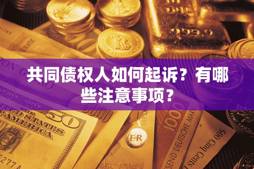 武汉共同债权人如何起诉？有哪些注意事项？