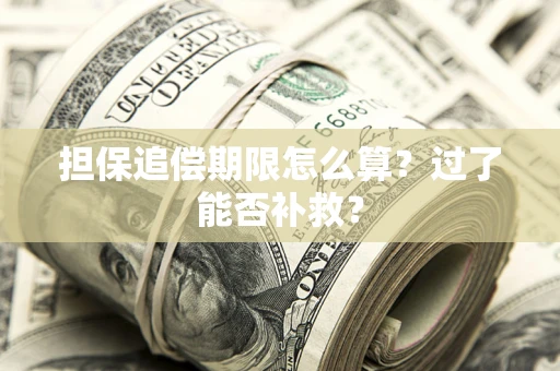 武汉担保追偿期限怎么算？过了能否补救？